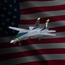 F-14 Tomcat