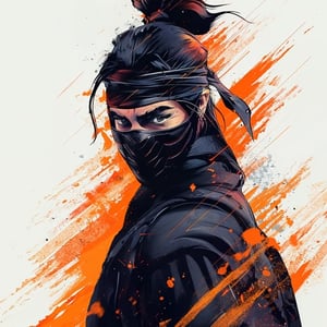 Ninja Misterius