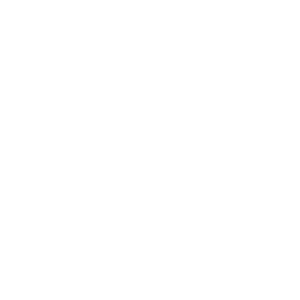 Odin's Raven