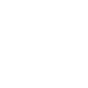 Viking Weapons