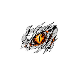 铁眼