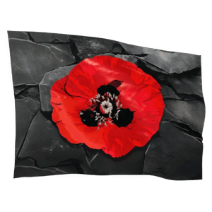 Remembrance Poppy