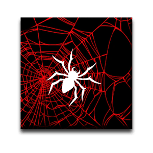 Spider Web