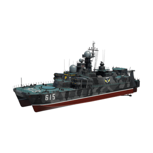 RF Bora (Project 1239)