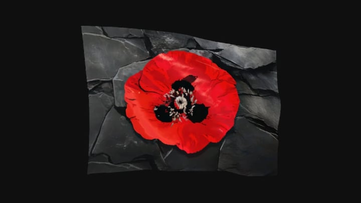 Remembrance Poppy